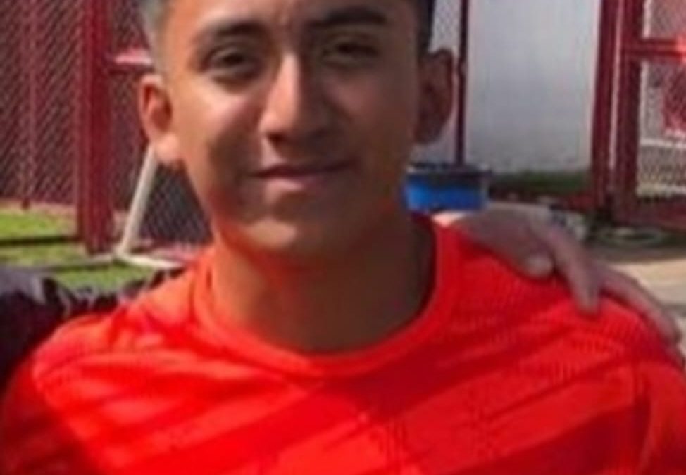 Luis Aliaga Jave